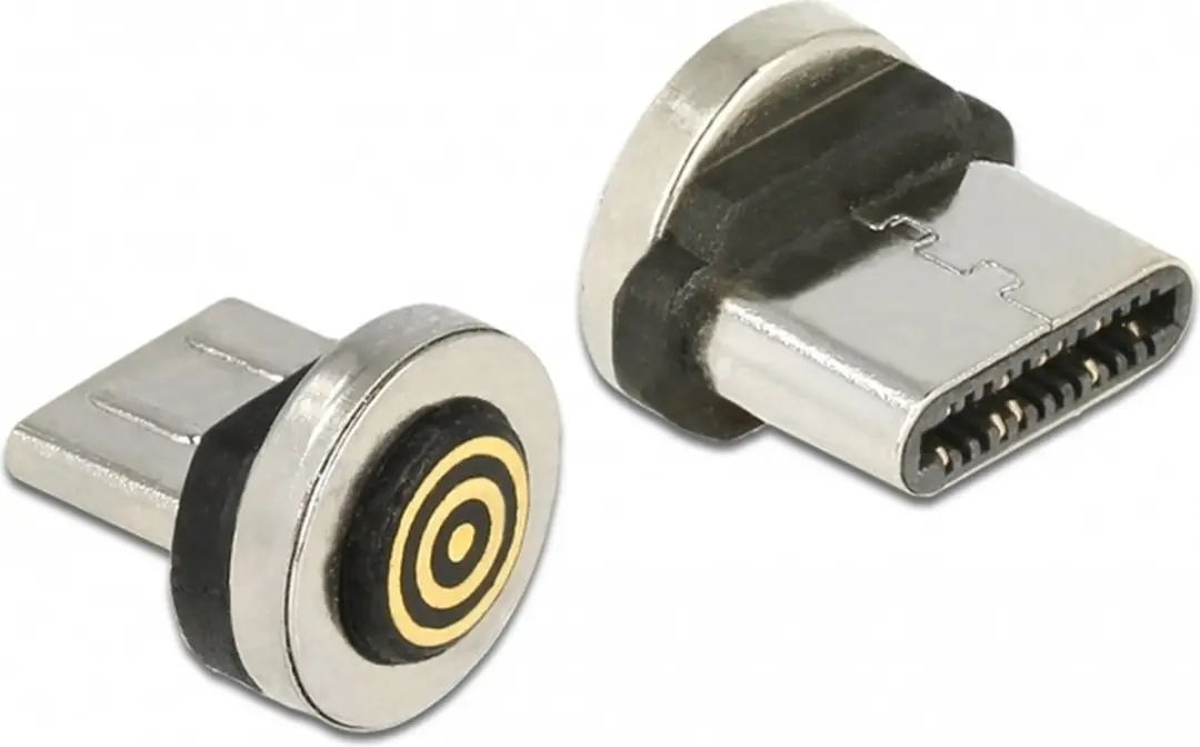 Delock Magnetic USB Type-C Adapter - Zwart