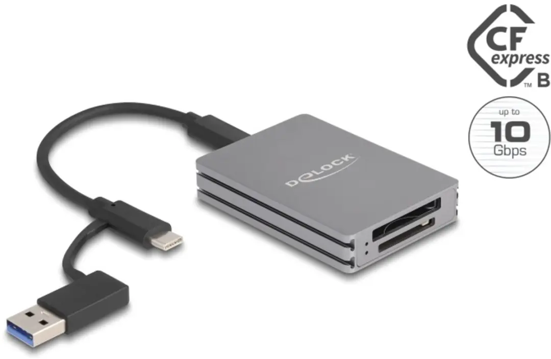 Delock USB Type-C Kaartlezer