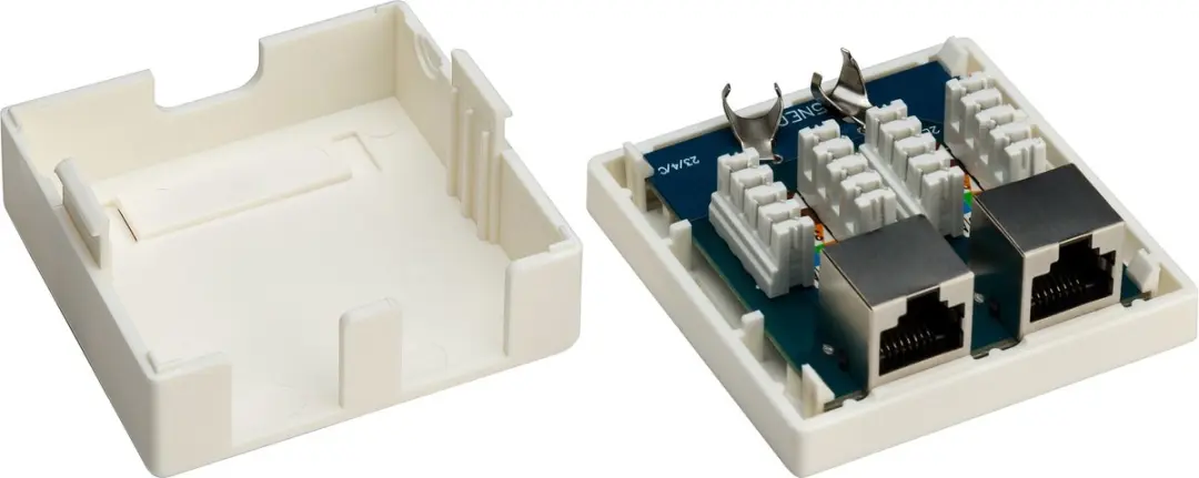 Goobay CAT6 Netwerkuitvoerdoos 2x RJ45 - Wit