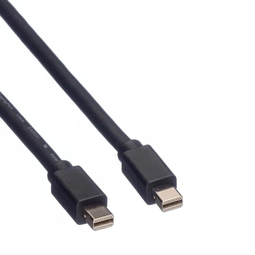 Roline DisplayPort Kabel Mini DP M - 2m