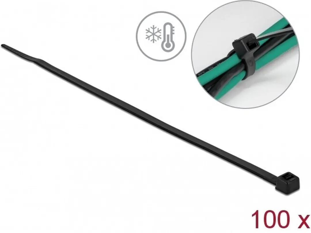 Delock Tie-wraps 19189 - 100 Stuks - 4,8mm