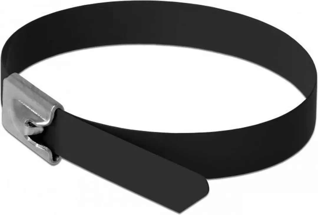 Delock RVS Kabelbinders 300x7,9mm - 10 Stuks