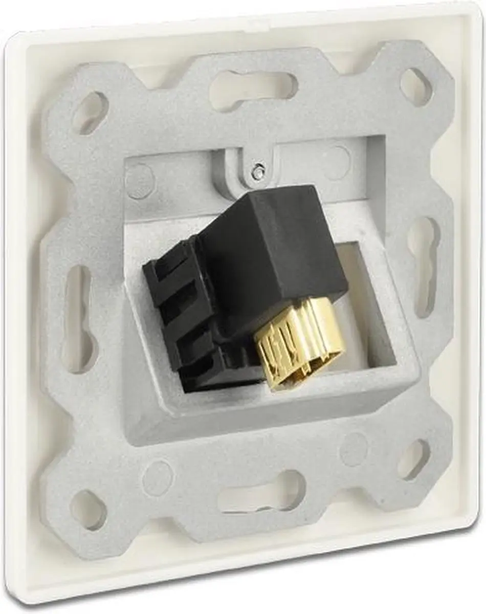 Delock HDMI Keystone Module 2.0 Haaks - 4K 60Hz Wit