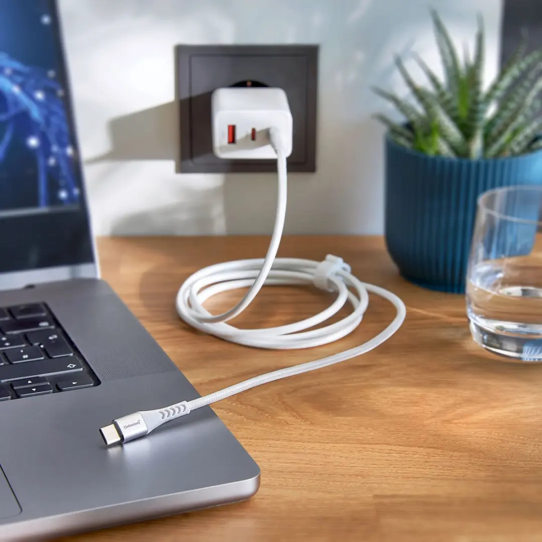 Intenso C315C USB-C Kabel 1.5m - Wit