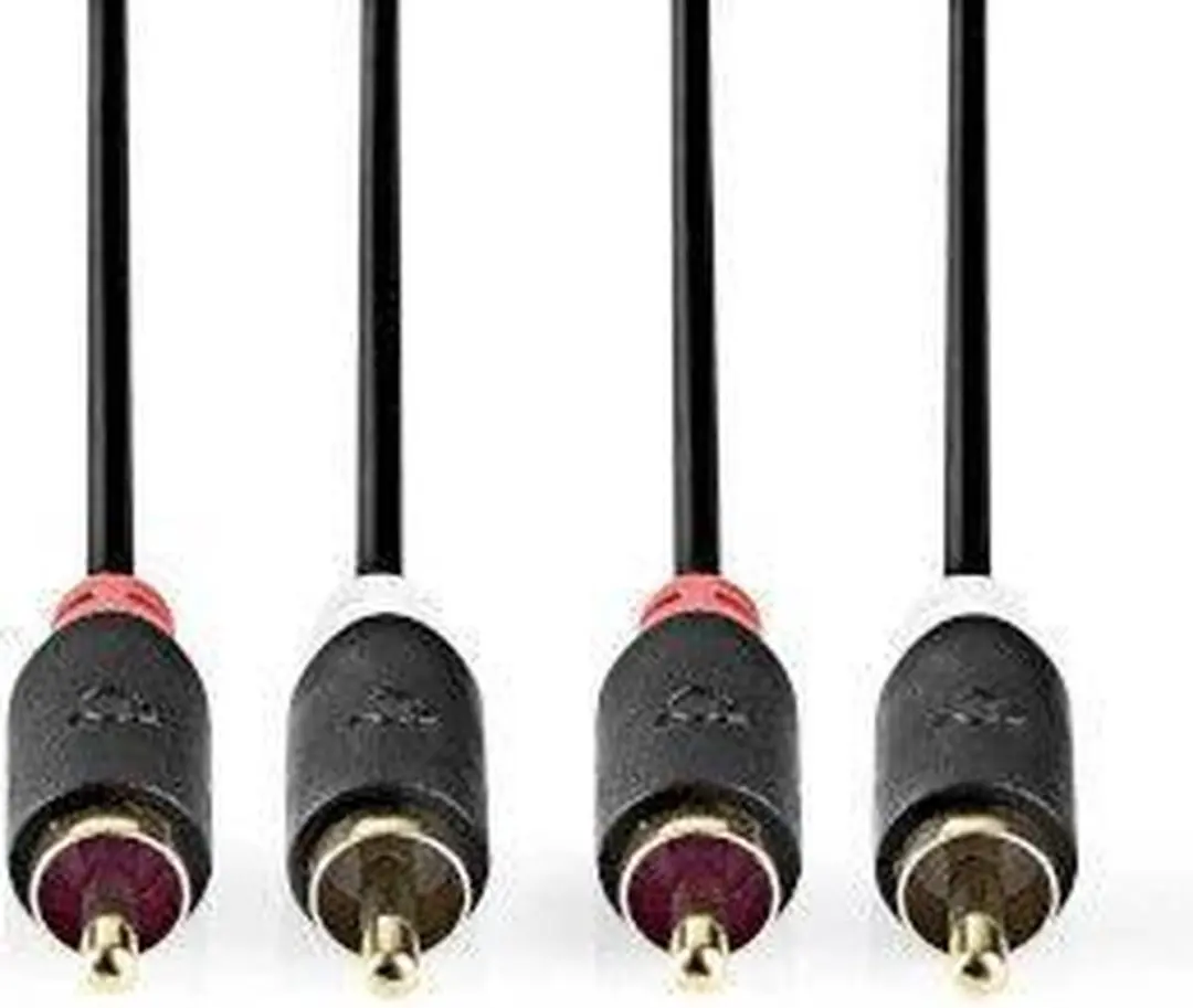 Nedis CABW24200AT100 Stereo-Audiokabel - 2x RCA Male - 10m - Verguld - Antraciet
