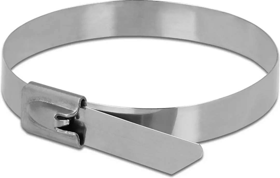 Delock Roestvrijstalen Kabelbinders 200x7,9mm - 10 Stuks