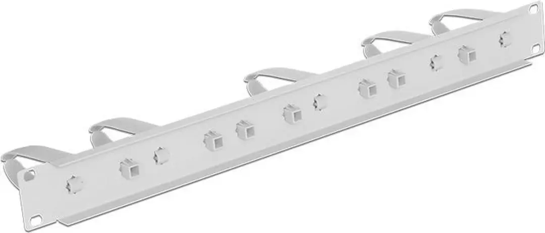 Delock 19" Kabelmanagementpaneel 43346 - Grijs