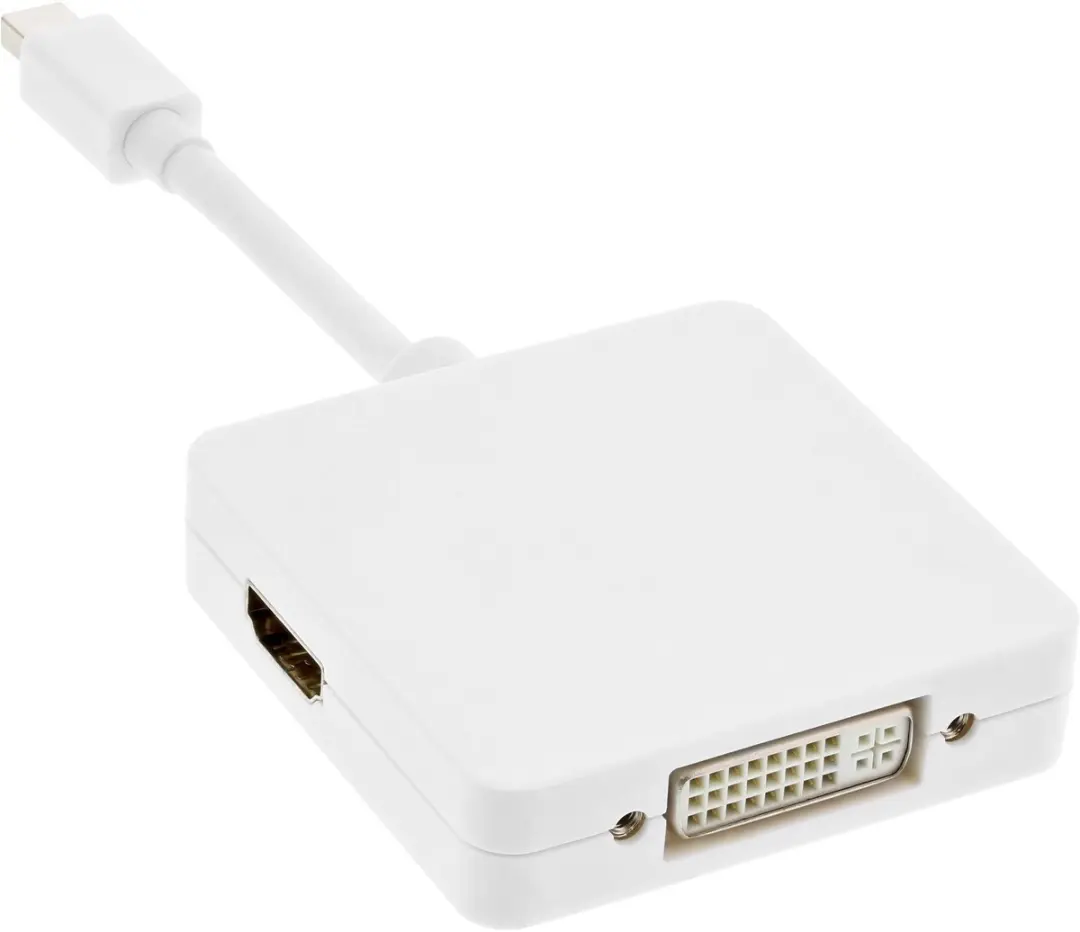 InLine Mini DisplayPort naar HDMI/DVI/DisplayPort Adapterkabel