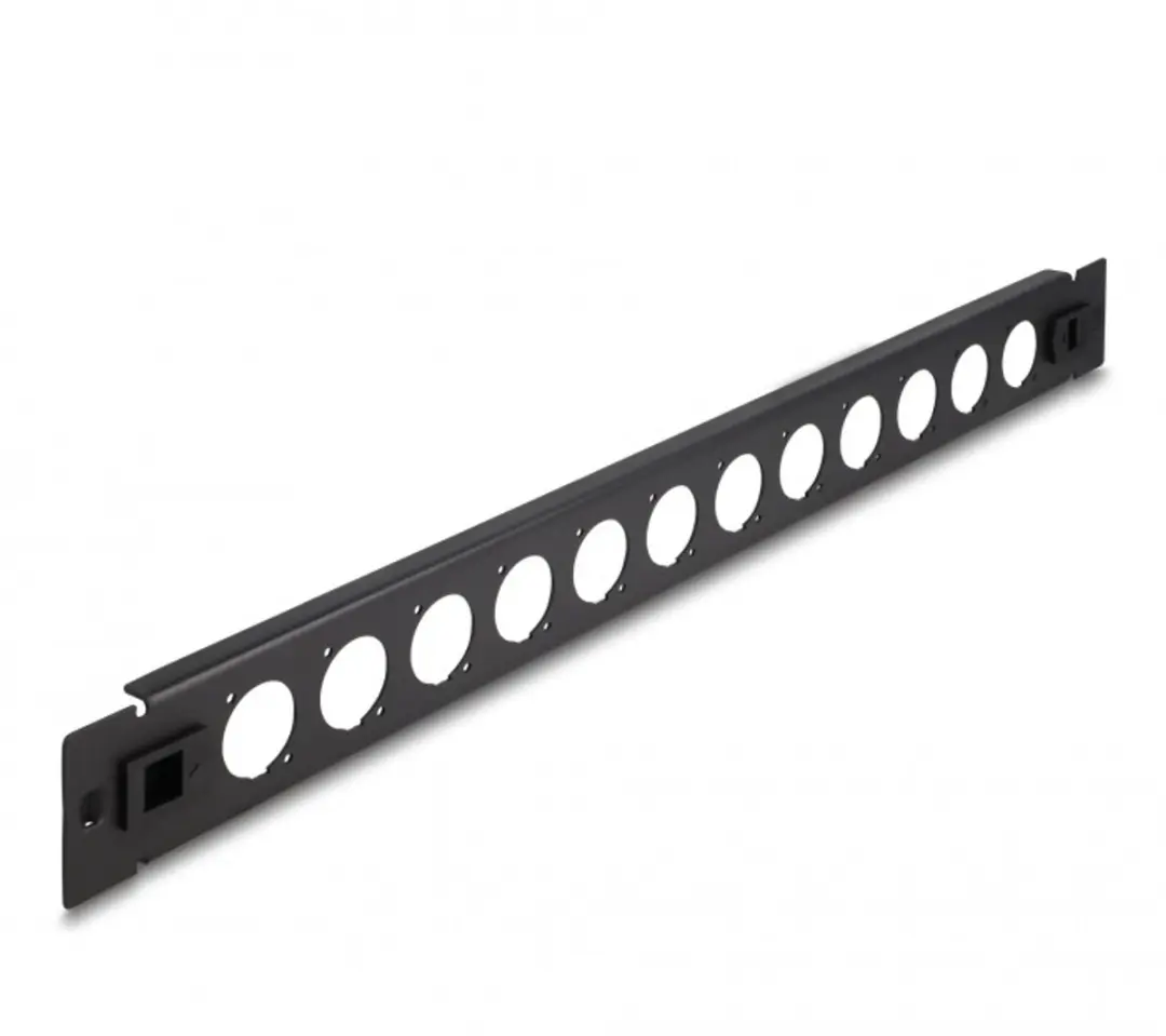 Delock 19 inch Patch Panel 12x D-Type