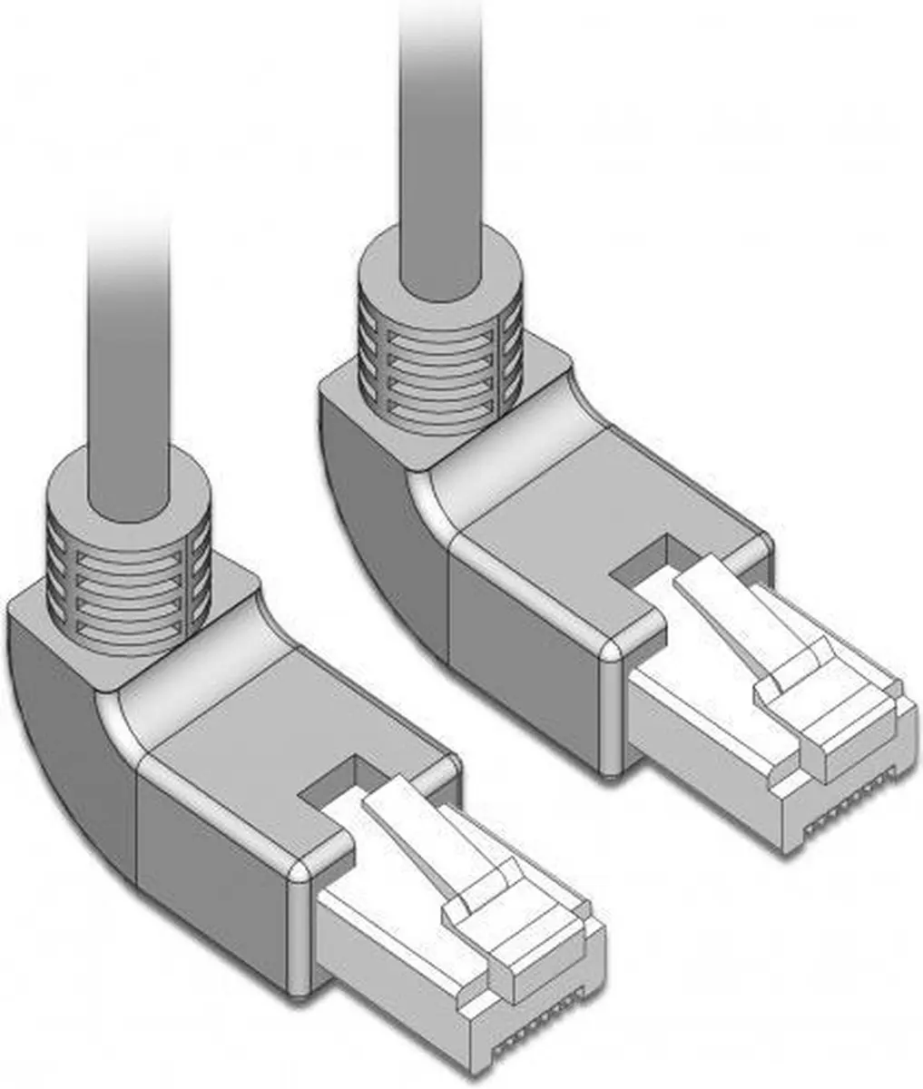 Delock S/FTP CAT6a Netwerkkabel 10Gbps - 1m - Grijs