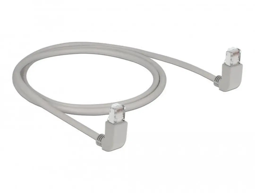 Delock S/FTP CAT6a Netwerkkabel 10Gbps - 1m - Grijs