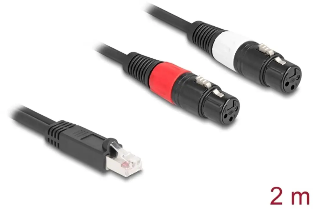 Delock RJ45 naar 2x XLR 3-pin Adapterkabel