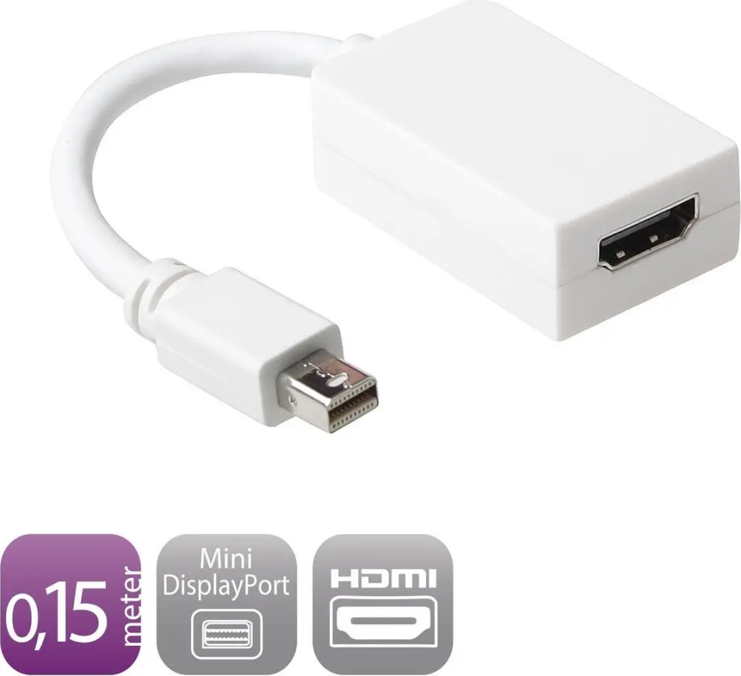 Ewent EW9861 Videoadapter DisplayPort/HDMI - 15cm - Wit