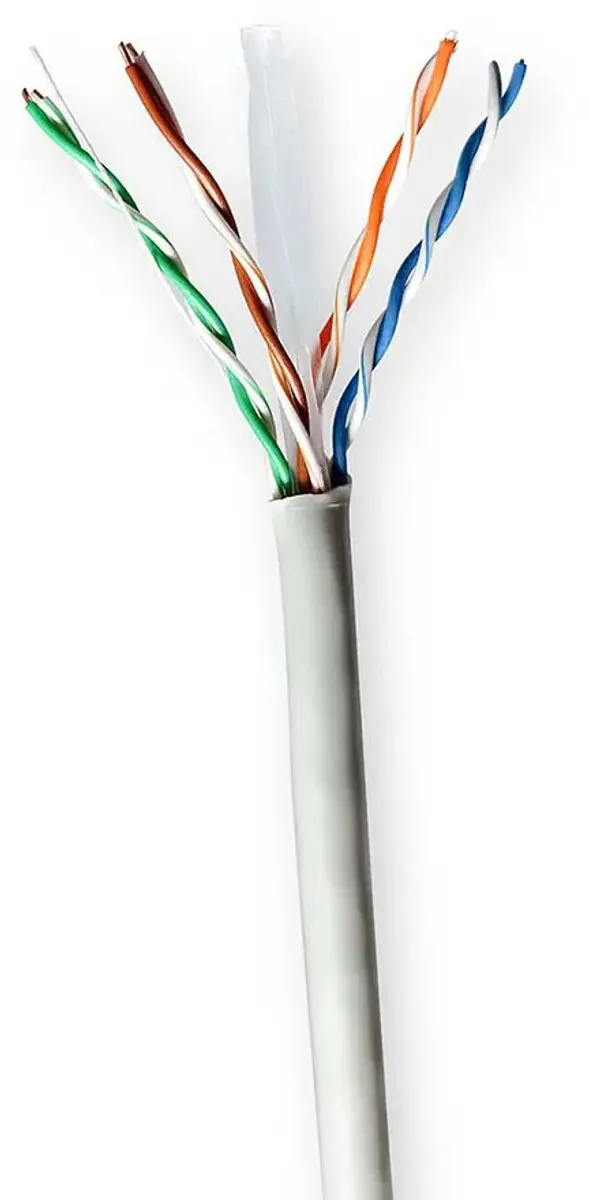 Nedis CAT6 Netwerk Kabel Rol 100m - Grijs
