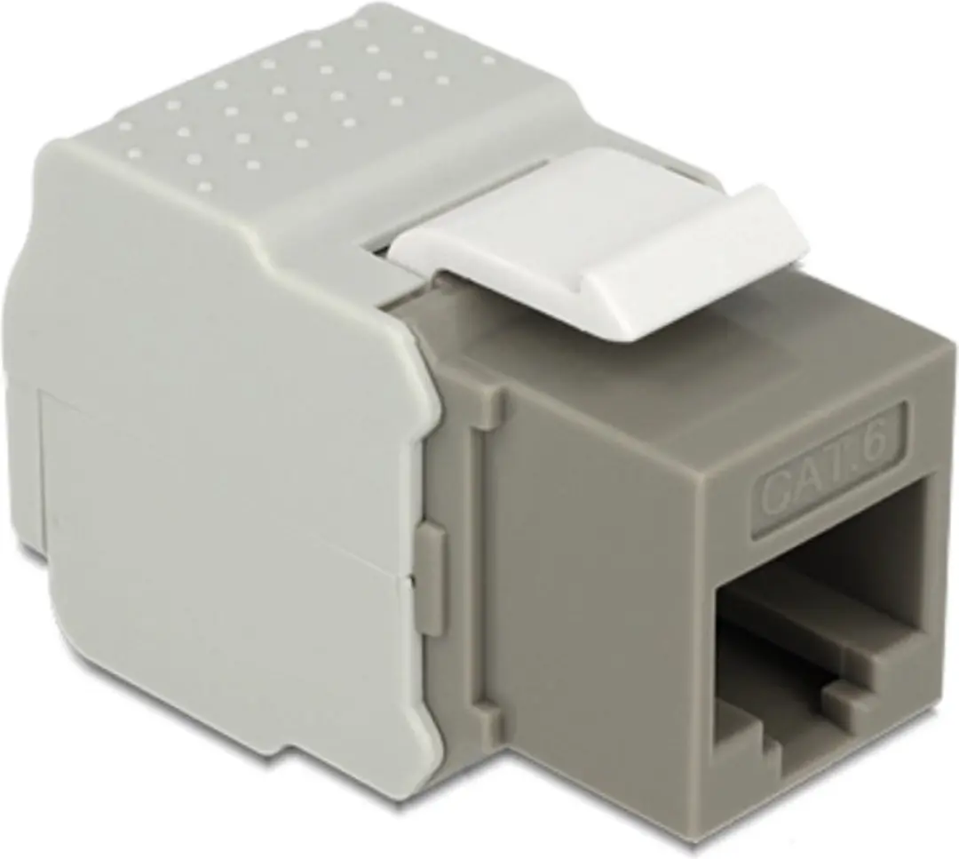 Delock UTP CAT6 Keystone Module RJ45 - LSA - Grijs