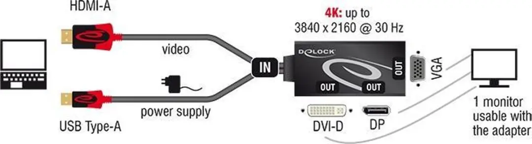 Delock HDMI naar DVI/VGA/DisplayPort Adapter 4K - Zwart