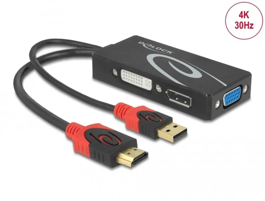 Delock HDMI naar DVI/VGA/DisplayPort Adapter 4K