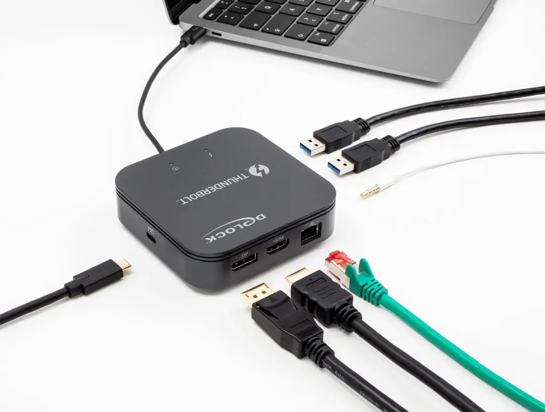 Delock Thunderbolt 3 Mini Docking Station 87789 - Zwart