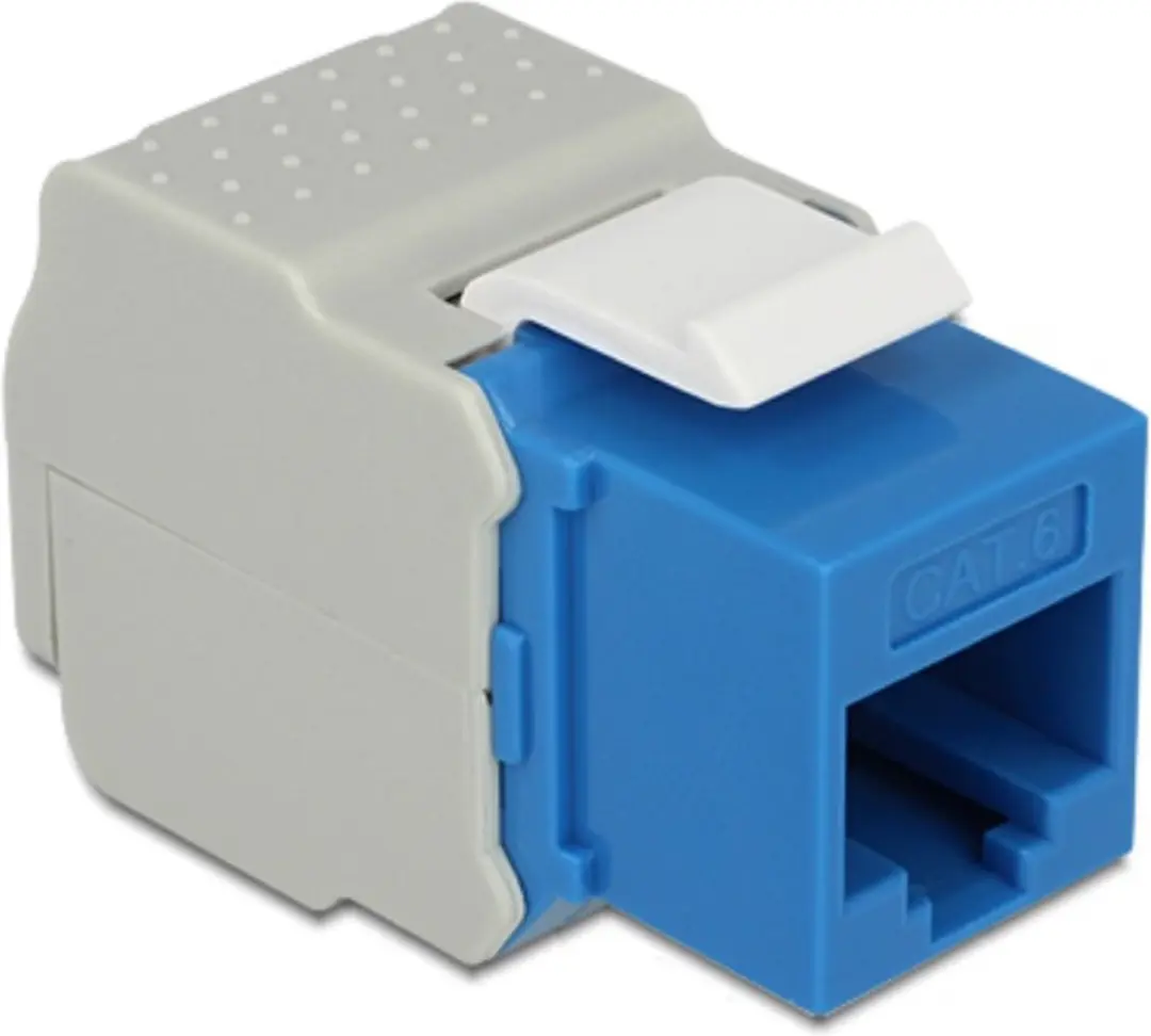 Delock UTP CAT6 Keystone Module RJ45 - LSA - Blauw