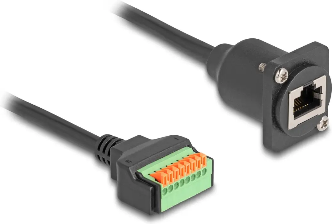 Delock D-Type RJ45 naar Terminal Block Kabel 30cm