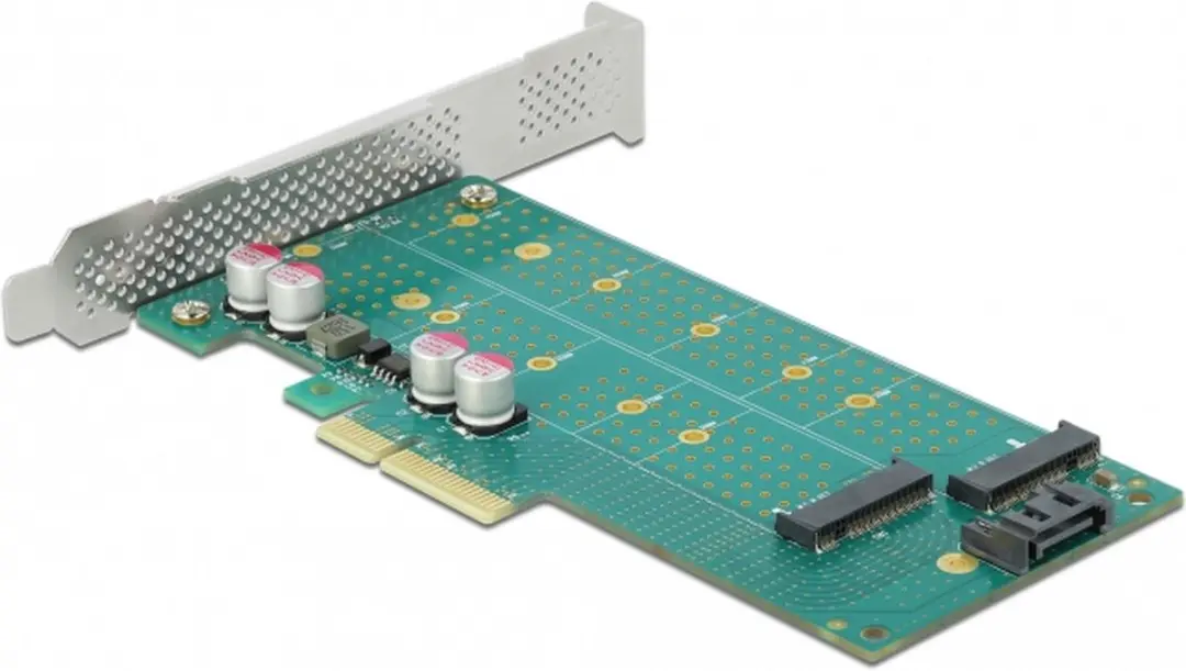 Delock PCIe x4 Kaart M.2 Key B+M - Zwart