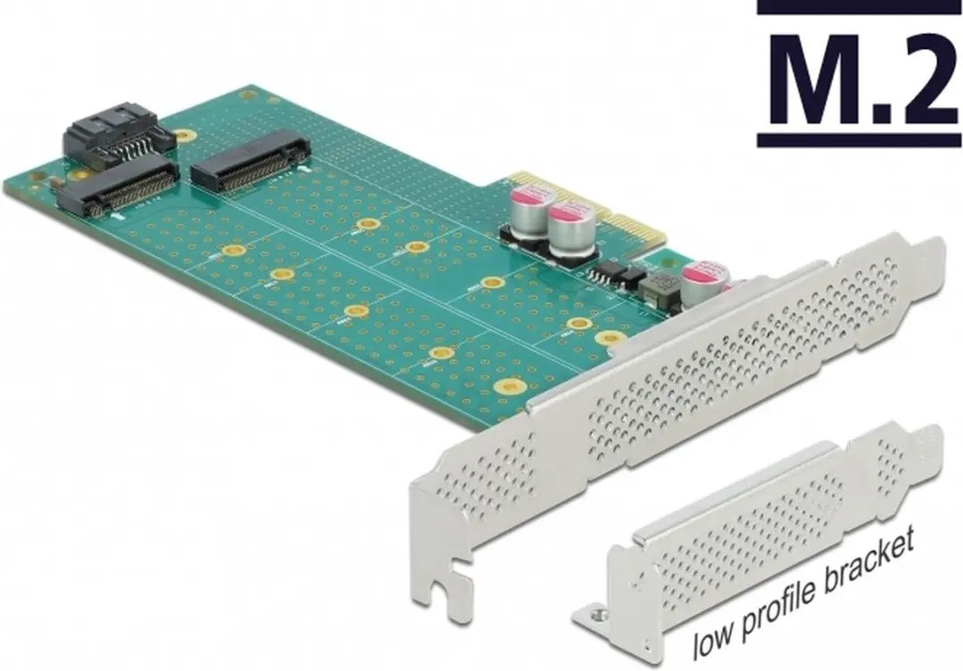 Delock PCIe x4 Kaart M.2 Key B+M - Zwart