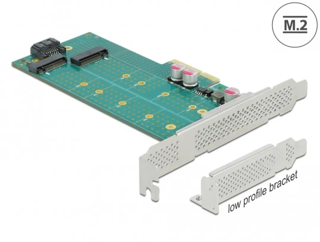 Delock PCIe x4 Kaart M.2 Key B+M