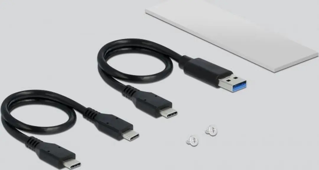Delock M.2 NVMe USB-C Behuizing 10Gbps - Zilver