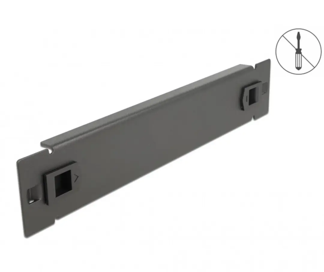 Delock 10 inch Blindpaneel 1U