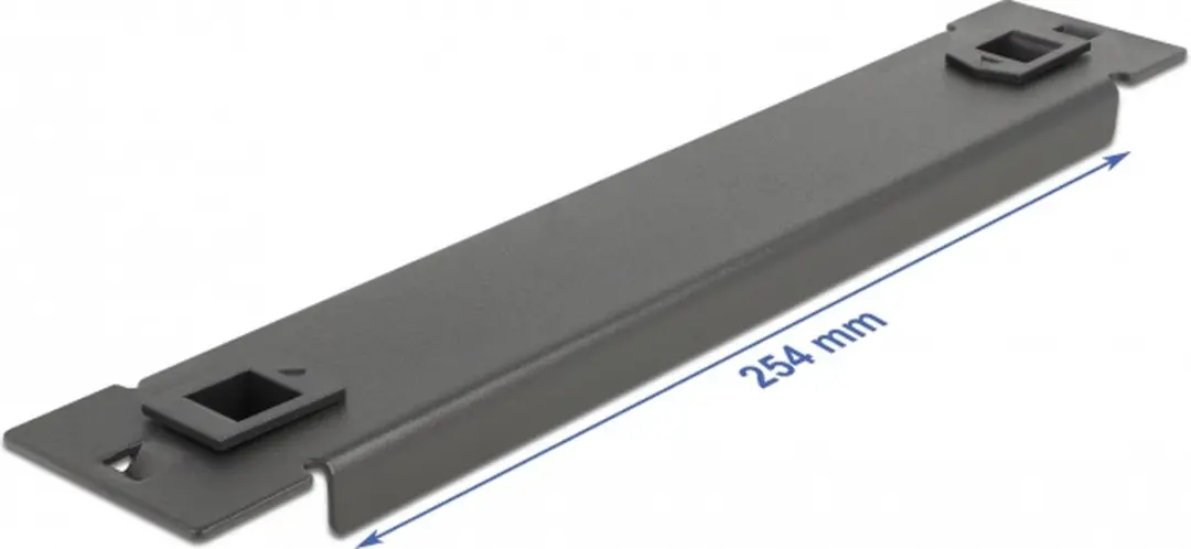 Delock 10 inch Blindpaneel 1U - Zwart