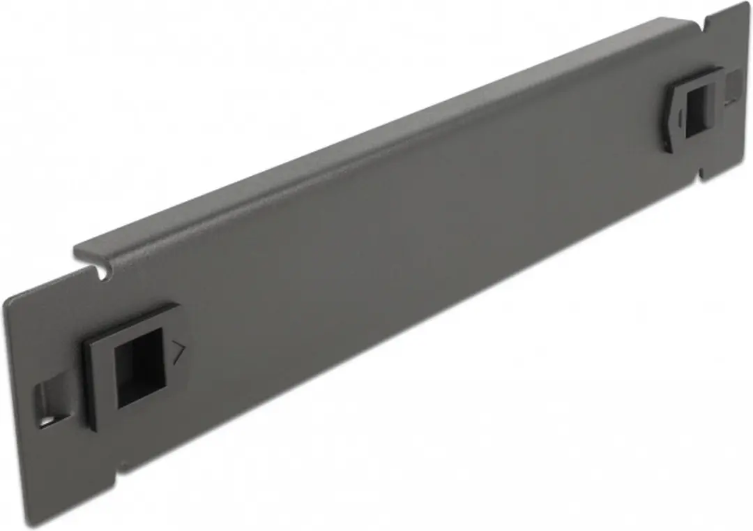 Delock 10 inch Blindpaneel 1U - Zwart