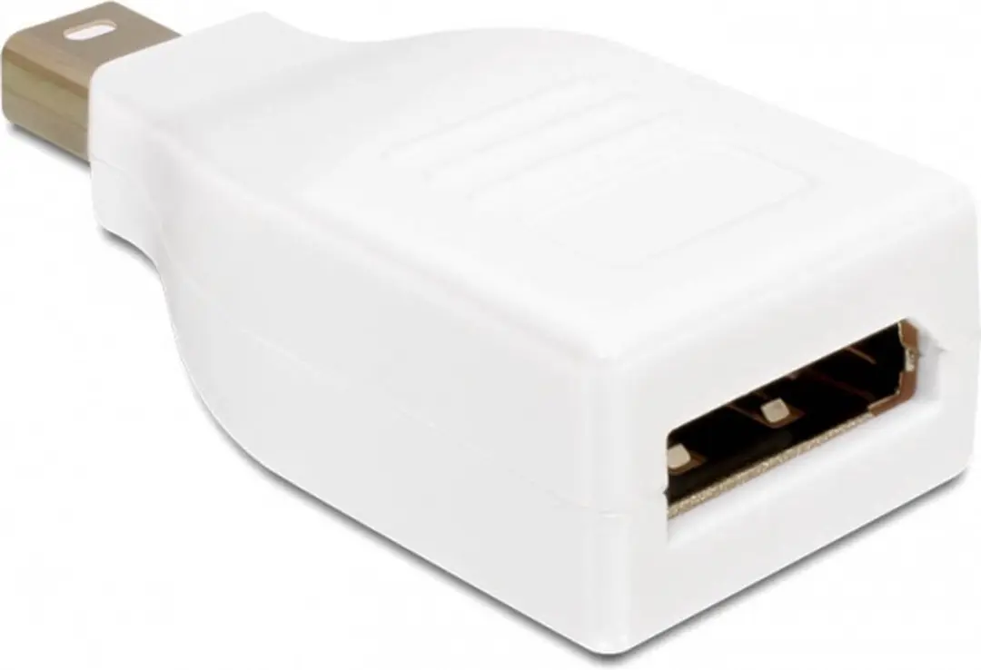 Delock Mini DisplayPort naar DisplayPort Adapter - Wit