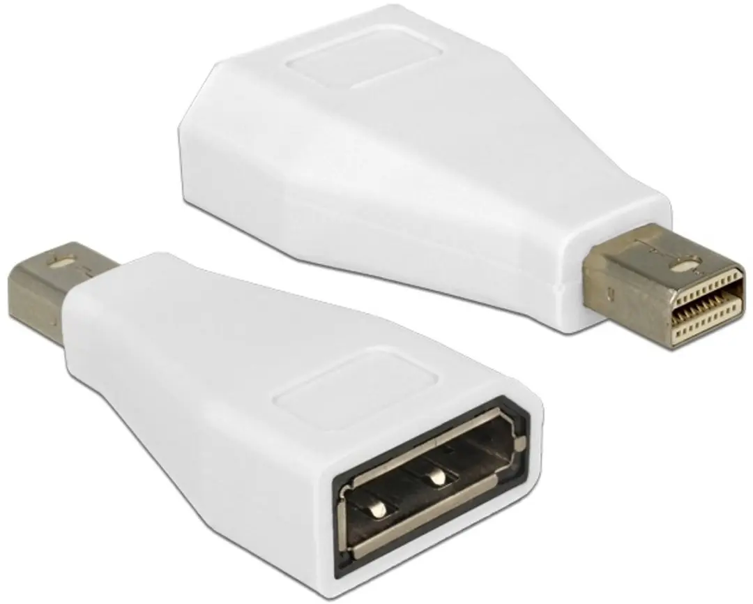 Delock Mini DisplayPort naar DisplayPort Adapter