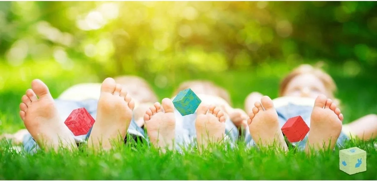SmartGames Happy Cube Expert HCE300 - 6 Puzzels - Meerkleurig