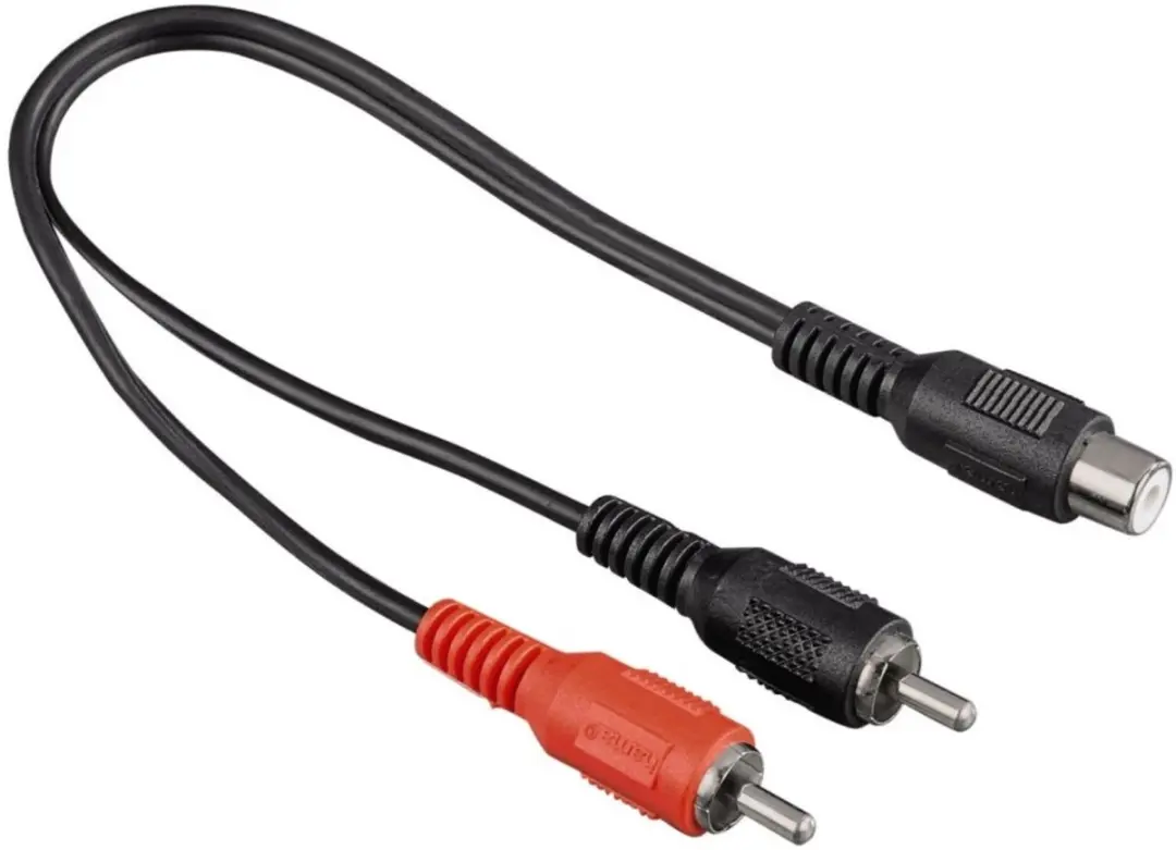 Adapter 2 RCA-stekkers