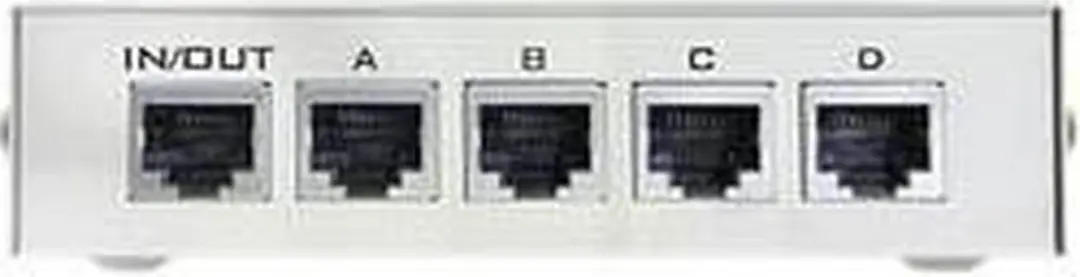 Delock Switch 10/100 Mbps 4 Poorten - Kleurloos