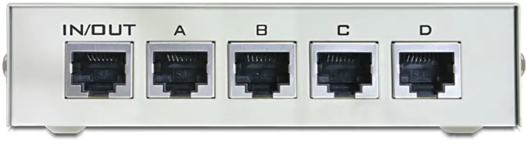Delock Switch 10/100 Mbps 4 Poorten - Kleurloos