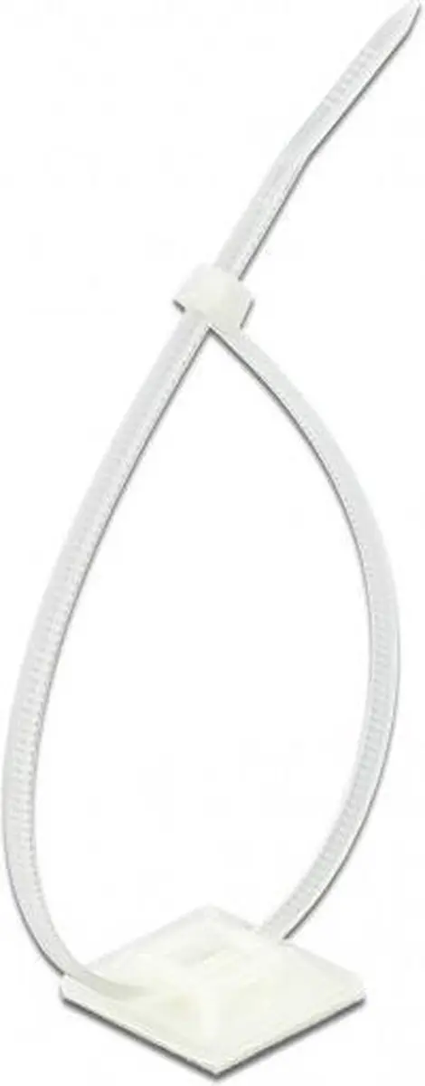 Delock Tie-wraps 300x4,8mm - 20 Stuks (10x2) - Transparant