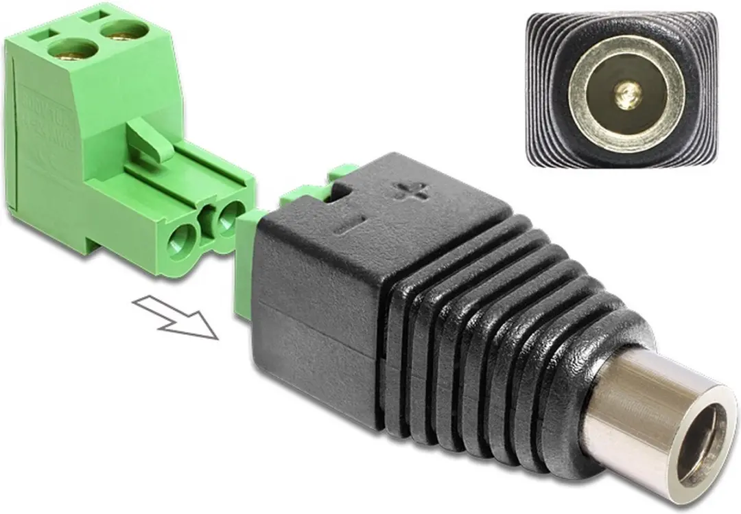 Delock DC 2.1x5.5mm 2p Kabeladapter