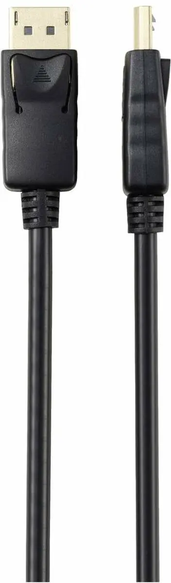Renkforce DisplayPort Kabel 2.0m RF-5245268 - Zwart