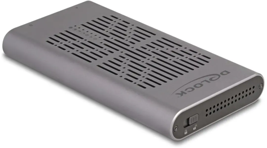 Delock 42027 USB 20Gbps M.2 NVMe Behuizing - Grijs