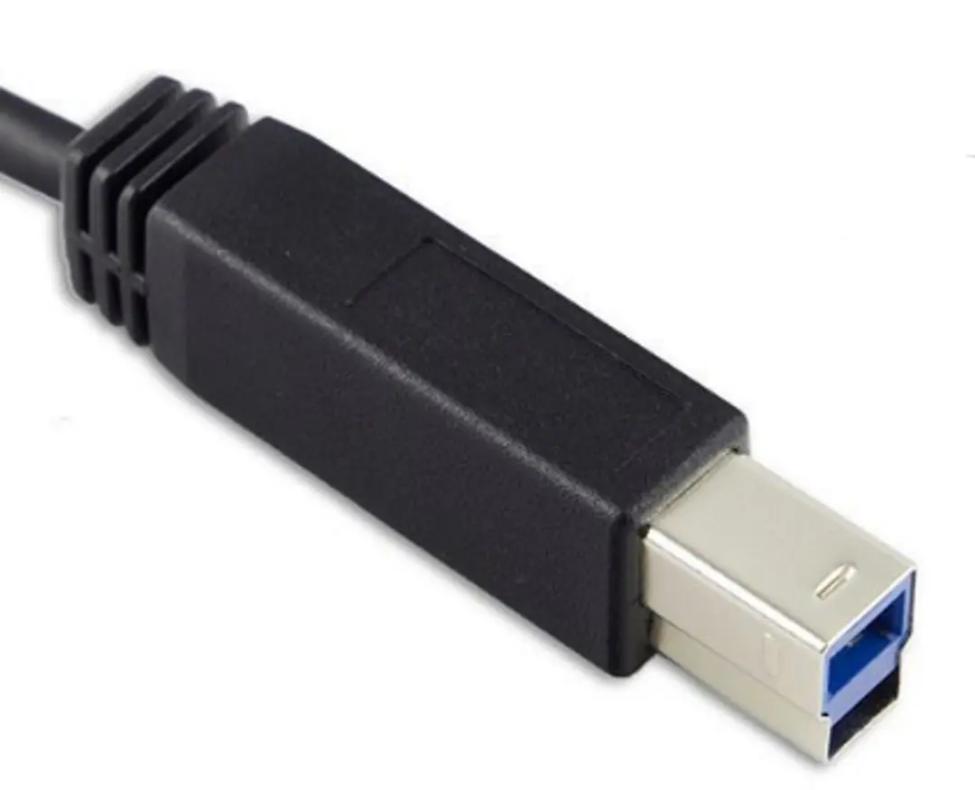 Targus ACC925EUX USB-C naar USB-B Kabel 10Gbps 1m - Zwart
