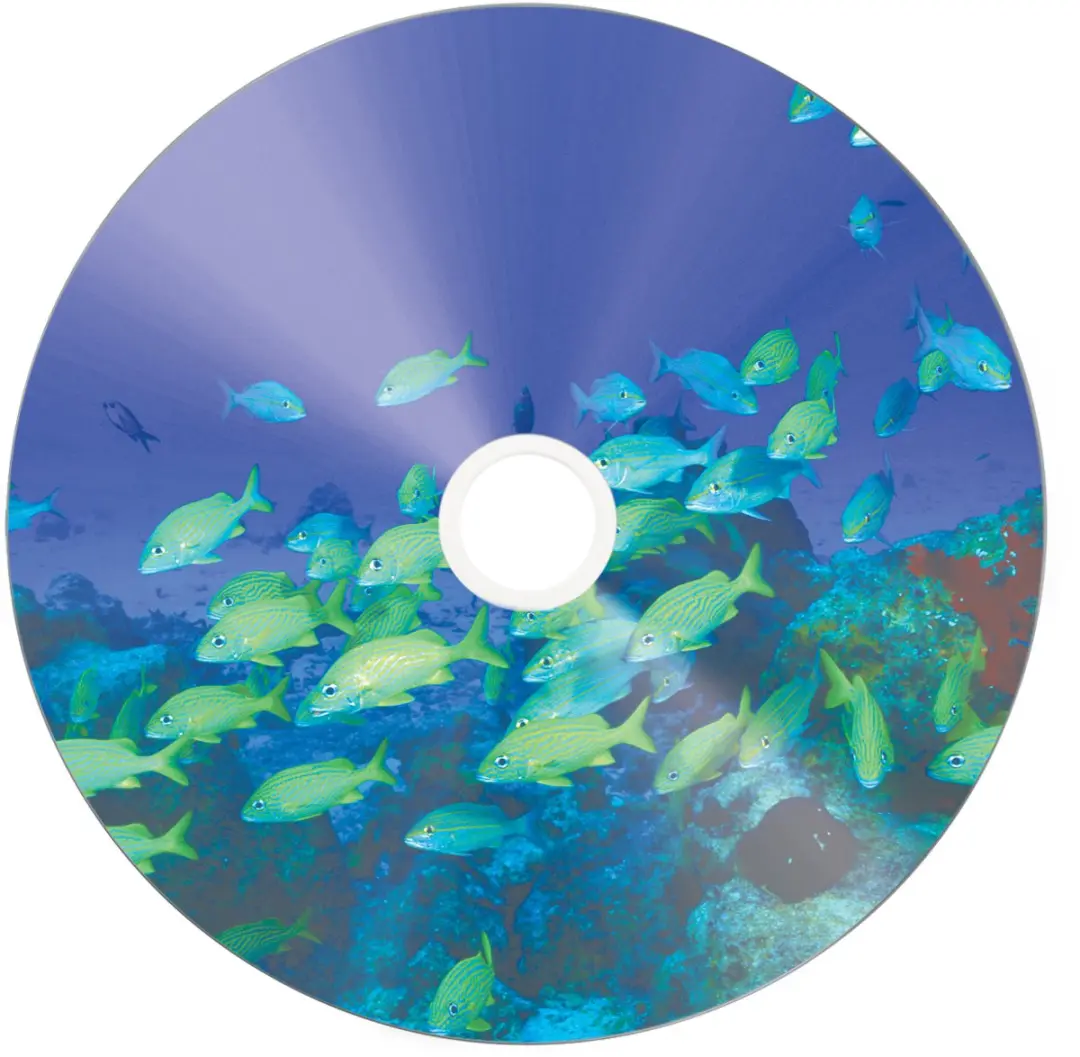 Verbatim CD-R AZO 700MB 52X - 50 Stuks
