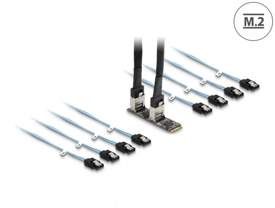 Delock M.2 2280 Key B+M naar 8x SATA Converter