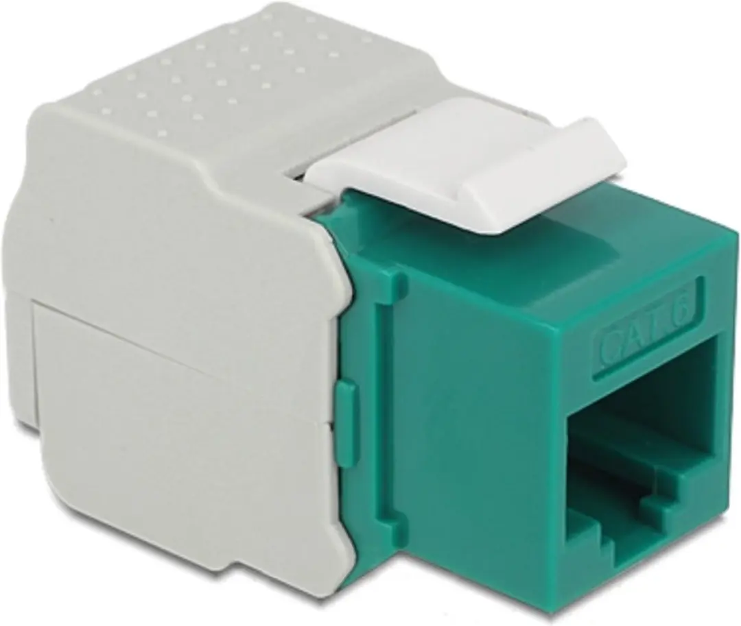 Delock UTP CAT6 Keystone Module RJ45 - LSA - Groen