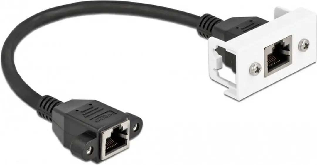 Delock Network Extension Kabel Cat.6A 25cm - RJ45 naar RJ45 - Zwart
