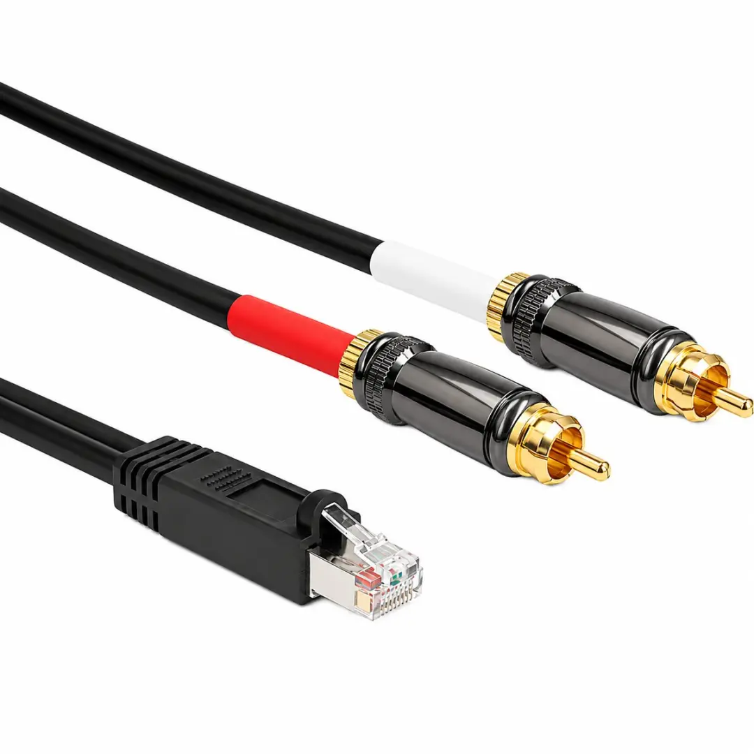 Delock RJ45 naar 2x RCA Adapterkabel