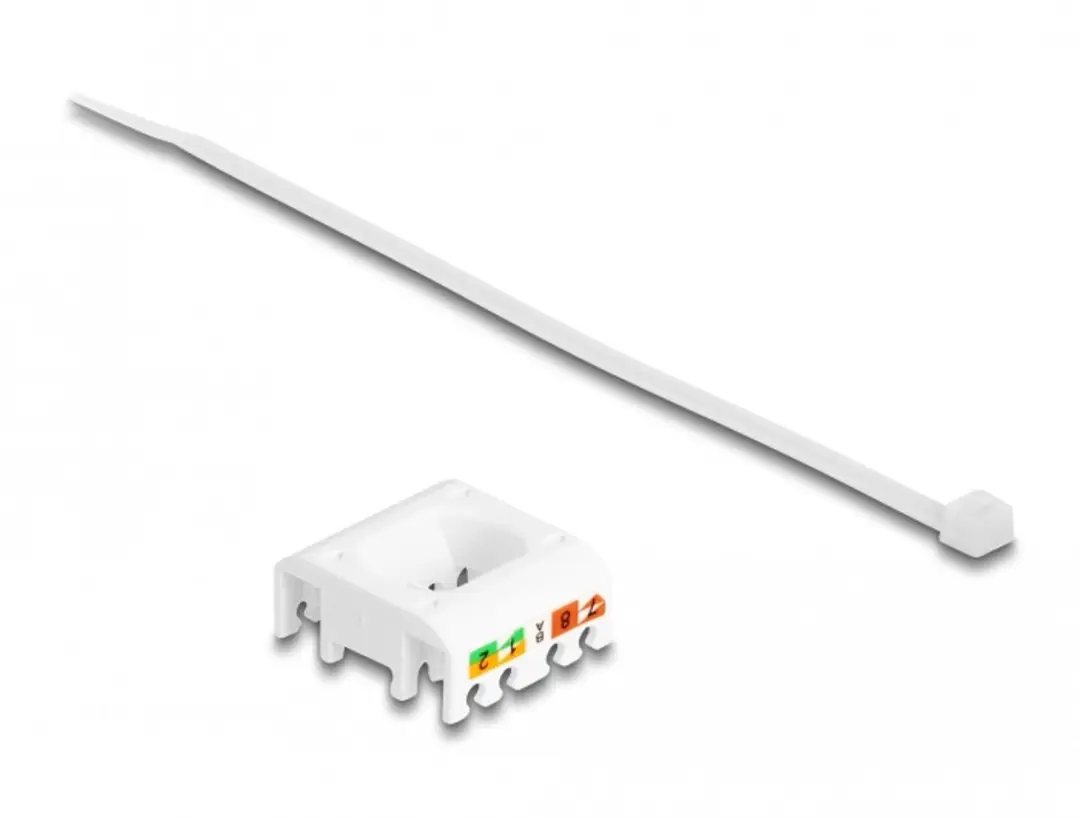 Delock Keystone Module RJ45 Cat.6A - Rood