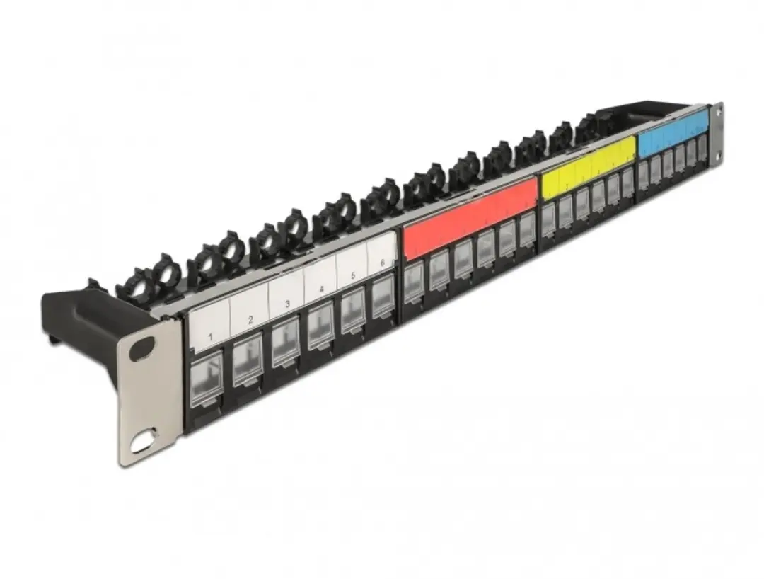 Delock 19" Keystone Patch Panel 24 Poorten
