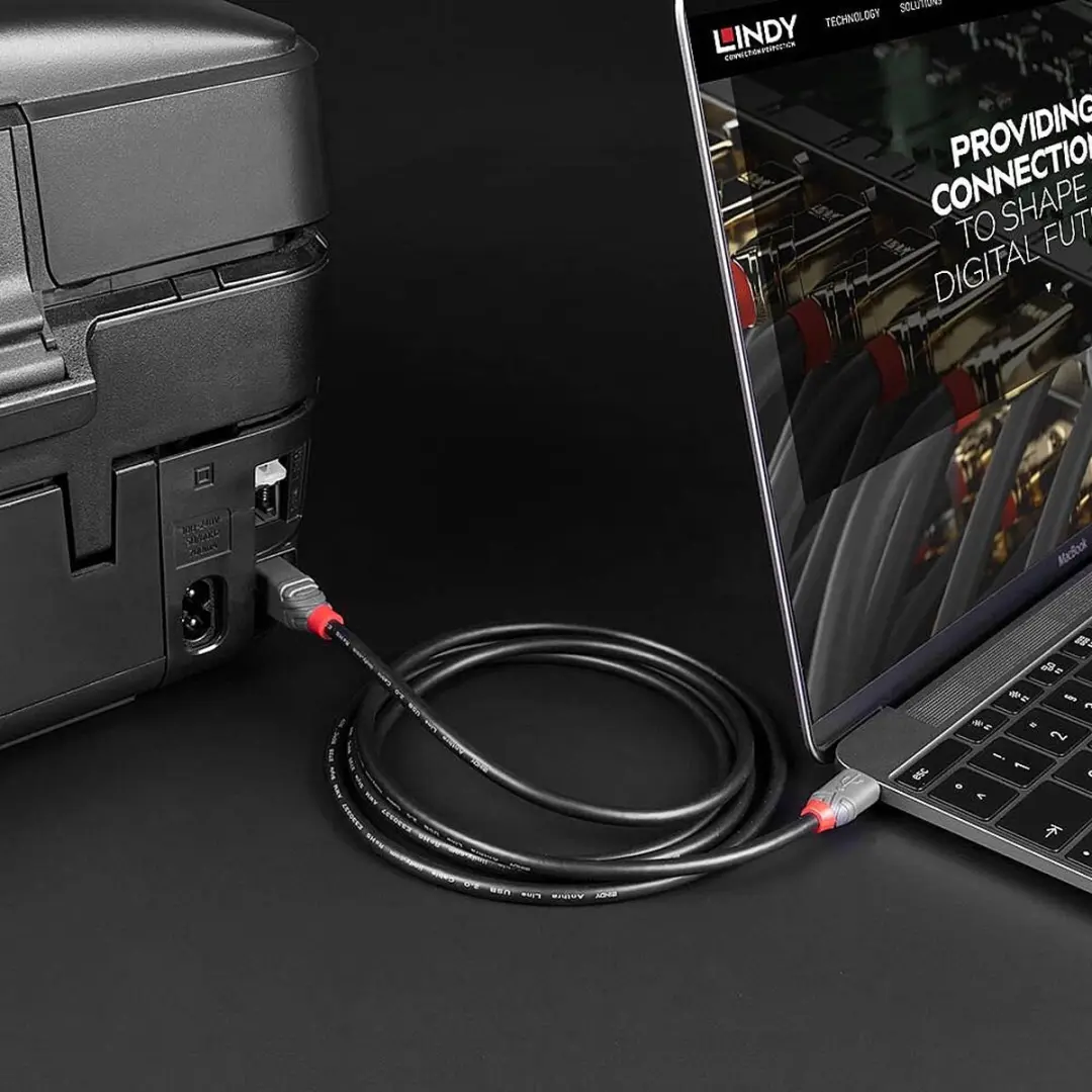 Lindy 36943 USB-kabel USB-C naar USB-B 3.0 - 3m - Zwart